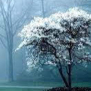 Meet your Posher, Ava